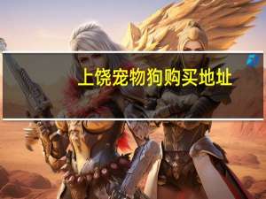 上饶宠物狗购买地址