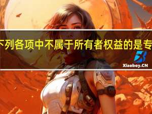 下列各项中不属于所有者权益的是 专项储备（下列各项中不属于所有者权益的是( )）