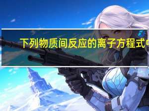 下列物质间反应的离子方程式中，书写正确的是（　　）A．碳酸钡与盐酸反应：CO32-