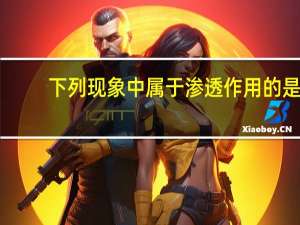 下列现象中属于渗透作用的是