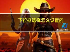 下拉框选择怎么设置的