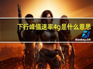 下行峰值速率4g是什么意思（4g是什么意思）