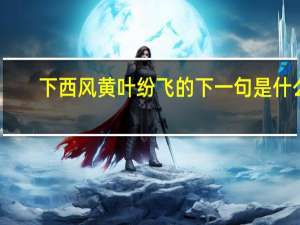 下西风黄叶纷飞的下一句是什么