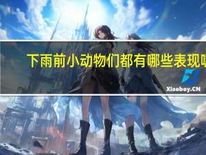 下雨前小动物们都有哪些表现呢