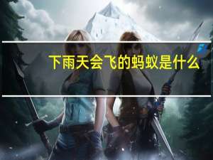 下雨天会飞的蚂蚁是什么