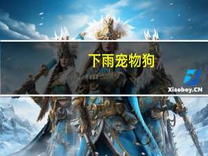 下雨宠物狗