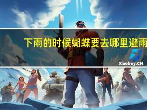 下雨的时候蝴蝶要去哪里避雨