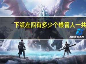 下颌左四有多少个根管 人一共有多少牙