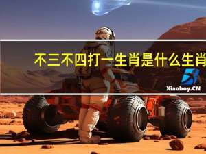 不三不四打一生肖是什么生肖（不三不四打一生肖）