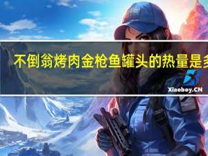 不倒翁 烤肉金枪鱼罐头的热量是多少