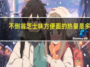 不倒翁 芝士味方便面的热量是多少