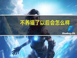 不养猫了以后会怎么样