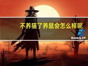 不养猫了养鼠会怎么样呢