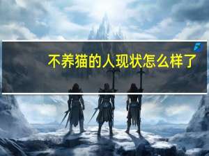 不养猫的人现状怎么样了