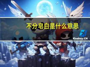 不分皂白是什么意思