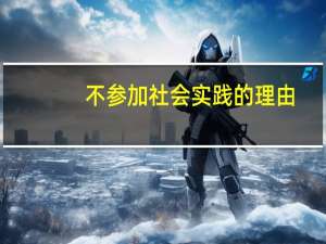 不参加社会实践的理由