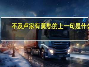 不及卢家有莫愁的上一句是什么