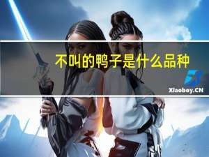 不叫的鸭子是什么品种