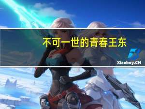 不可一世的青春王东（不可一世的青春）