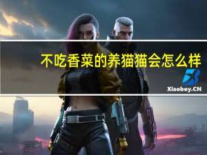 不吃香菜的养猫猫会怎么样