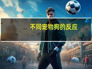不同宠物狗的反应