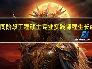 不同阶段工程硕士专业实践课程生长点的确定