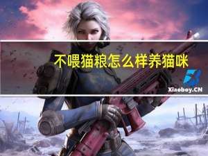 不喂猫粮怎么样养猫咪
