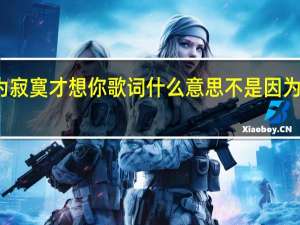 不因为寂寞才想你歌词什么意思 不是因为想你才寂寞