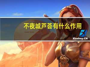 不夜城芦荟有什么作用（芦荟有什么作用）