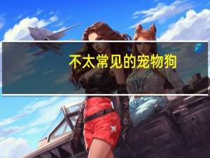 不太常见的宠物狗