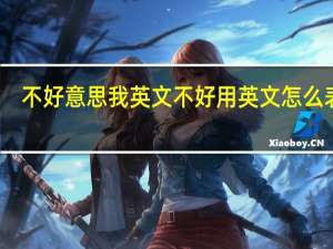 不好意思我英文不好用英文怎么表达？