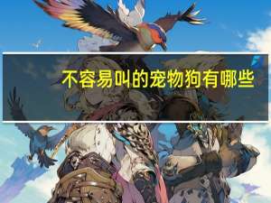 不容易叫的宠物狗有哪些