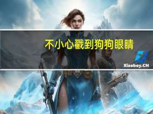 不小心戳到狗狗眼睛