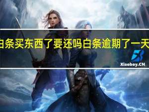 不小心用白条买东西了要还吗 白条逾期了一天第二天还要紧吗