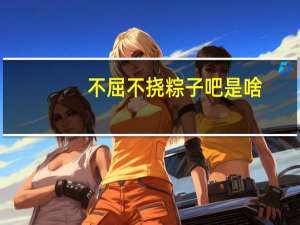 不屈不挠粽子吧是啥（不屈不挠粽子）