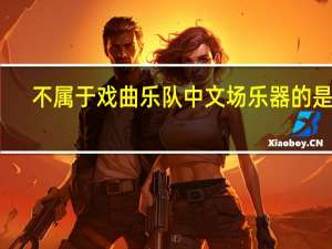 不属于戏曲乐队中文场乐器的是谁