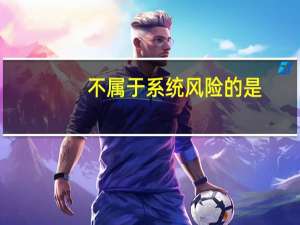 不属于系统风险的是