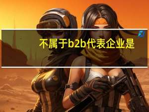 不属于b2b代表企业是