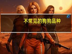 不常见的狗狗品种