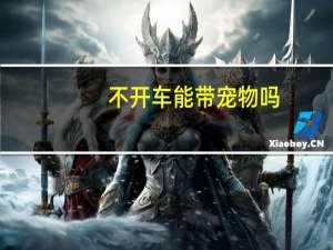 不开车能带宠物吗