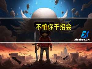 不怕你千招会，但怕你一招精，是什么意思