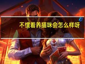 不惯着养猫咪会怎么样呀