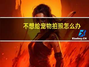 不想给宠物拍照怎么办