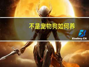 不是宠物狗如何养