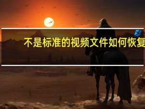 不是标准的视频文件如何恢复（不是标准的视频文件）