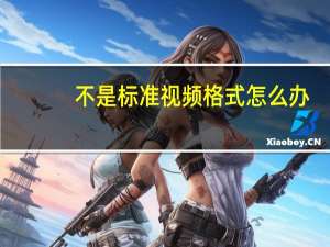 不是标准视频格式怎么办（不是标准的视频文件怎么播放）