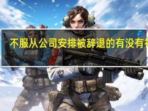 不服从公司安排被辞退的有没有补偿