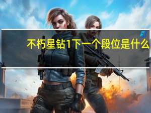 不朽星钻1下一个段位是什么