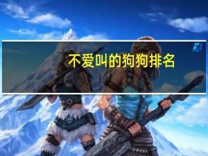 不爱叫的狗狗排名