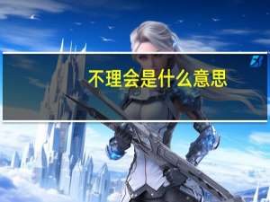 不理会是什么意思
